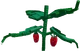 Elder Strawberry
